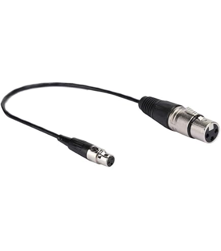 Cavo audio XLR femmina a 3 pin XLR maschio a 5 pin per microfono DMX Stage Light Turnaround XLR3Fto XLR5M (30 cm