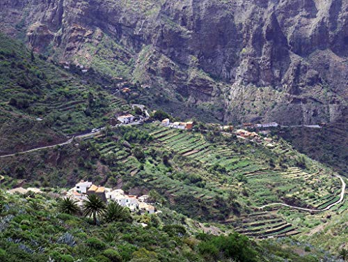 Preisvergleich Produktbild Lais Puzzle Teneriffa 1000 Teile