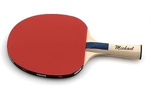 LUDOMAX JUNIOR Edition, Tischtennisschläger von Butterfly mit Geschenk Gravur