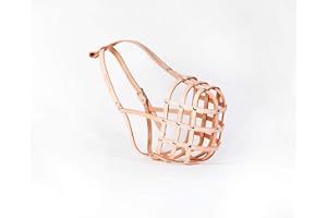 L&J Pets Uk Light leather Dog Muzzle for Dogue de Bordeaux and Bullmastiff and Other