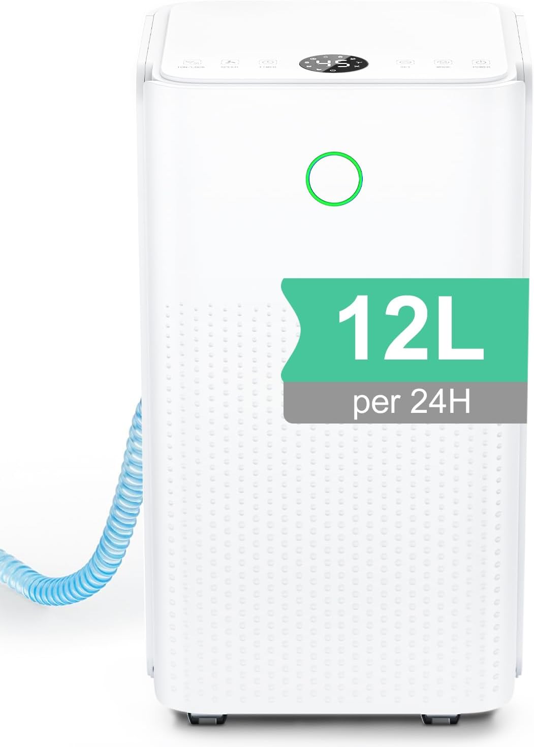 Vue 10