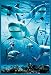 Produktbild Haie Sharks - Infested - Tumult Tier Plakat Poster Druck - Grösse 61x91,5 cm + Wechselrahmen, Shinsuke® Maxi Kunststoff Türkis, Acryl-Scheibe