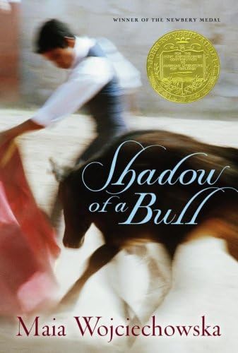 Shadow Of A Bull