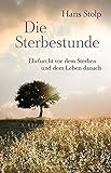 Die Sterbestunde: Bewusstes Abschiednehmen by Hans Stolp