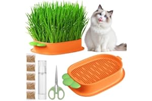 KYSUN Hydroponika trawy dla kotów, można ją sadzić pięć razy, mała konewka, do wnętrz, zestaw do sadzenia trawy dla kota, łatwa do sadzenia, 100% organiczna, trawa dla kotów domowych (pomarańczowa)