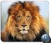 Produktbild Mauspad Gaming Maus Matte Gel-Gummi für PC, Gesicht Augen Lion Fur Mane 85403 Personalisierte Rechteck Mauspad, Gedruckt Rutschfeste Gummi Komfortable Kundenspezifische Computer-Mausunterlage