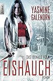 Cover zum Buch Das dunkle Volk: Eishauch