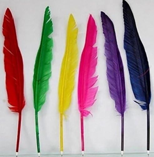 SUxian 2 Pcs Retro Style Black Ink Feather Quill Ballpoint Pen (Random Color)