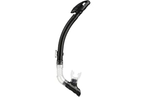 FISHLOR Snorkeling Tube, Full Dry Diving Snorkel, for Snorkeling Water Diving(Black)