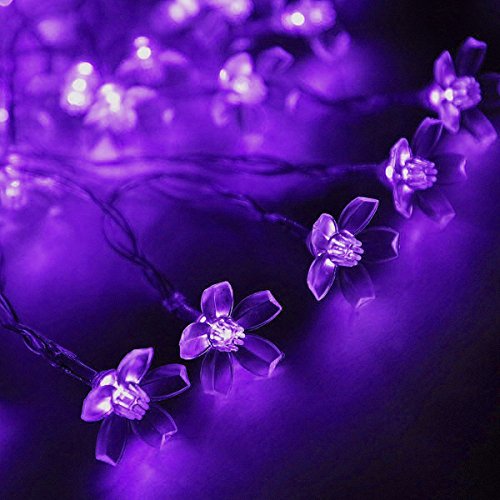 Kyson 50er LED Solar Lichterkette Blumen Garten Außen Lila 5 Meter, Solar Blüten Beleuchtung für Party, Weihnachten, Outdoor, Fest Deko usw. - 4