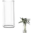 TSKDKIT Glass Vase for Flowers 20cm Glass Cylinder Vase Clear Vases for Living Room Modern Medium Vases 20 x 10cm