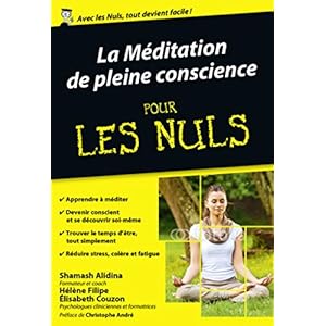 La Méditation de pleine conscience pour les Nuls poche (POCHE NULS) (French Edition)