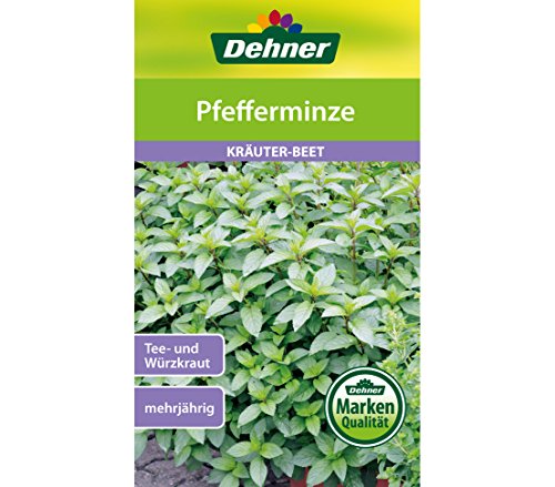 Dehner Kräuter-Saatgut, Pfefferminze, 5er Pack (5 x 2 g)