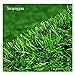 Produktbild SUNNAIYUANKunstrasen Kunstrasen mit DrainagelöchernGummiträger 10.76pt2 Pet Turf Fake GrassBalcony Innen- / Außendekor
