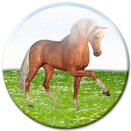 Pferde – Lebhafte Design Metall Magnettafel 40×30 cm – Pinnwand Memoboard mit Motiv: Pferde im Galopp – inkl. 4 Magnete mit Motiven von Pferden auf der Wiese für Magnetwand – Original Magnetpinnwand GUMA Magneticum - 5