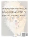 Image de Systeme de formation et d'ADOPTION DE CHIENS: Le système de formation et d'adoption de chiens est flambant neuf cours de formation créé par experts