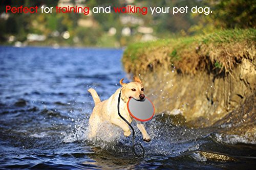 Poppypet-Long-Training-Dog-Leash-Durable-Nylon-Dog-Leads-Rope-Lead-for-Dogs-Dog-Training-Tracking-Lunge-Obedience-Leash-15m-Black