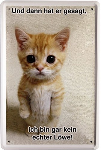 Blechschild Spruch Katze Cats 20 x 30cm Reklame Retro Blech 1251