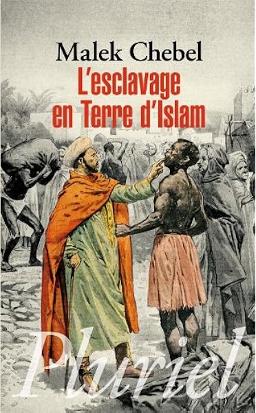 L Esclavage En Terre D Islam Pluriel Amazon Co Uk 9782818500712 Books
