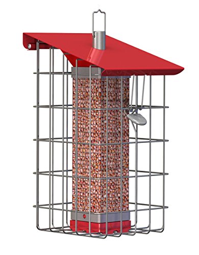 The NutteryNC015 Geohouse Peanut/Sunflower Seed Feeder