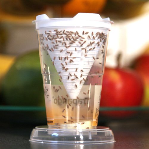 3x Fruchtfliegen-Lebendfalle Trapango®, (3er-Pack) - 4