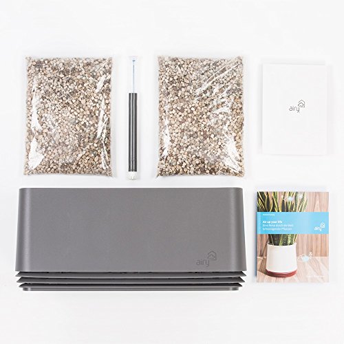 AIRY box – Hochwirksame Luftreinigung mit Zimmerpflanzen in „Stone Grey“ (Stone Grey) - 6