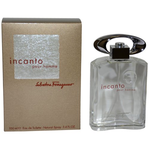 salvatore ferragamo incanto pour homme