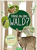 Hörst du den Wald?: Soundbuch mit 35 Tier- und Waldgeräuschen by Eva Wagner