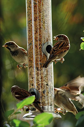 dobar 11520 Großer Futterspender mit vier Futterplätzen für Vögel, XL Futterstation-Futtersäule für Wildvögel zum Aufhängen, 9.5 x 9.5 x 39 cm, metall - 4