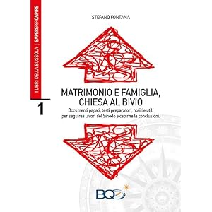 Matrimonio e famiglia, chiesa al bivio
