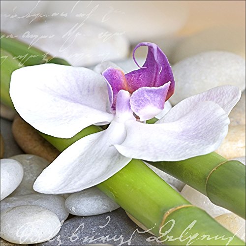 Pro-Art-Bilderpalette gla442d Wellness III - Cuadro de Cristal (20 x 20 cm), diseño de jardín Zen