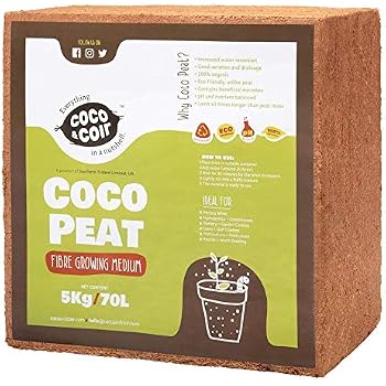 Pflanzwerk® Jardinière Sol Pour Planteurs Et D'empotage *100% Bio