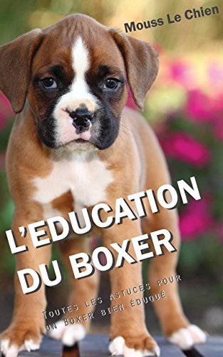 Leducation Du Boxer Toutes Les Astuces Pour Un Boxer Bien éduqué