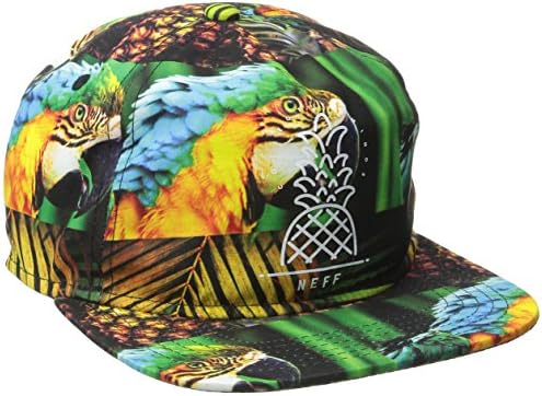 Neff Amigos Decon Cap Multi-Coloured