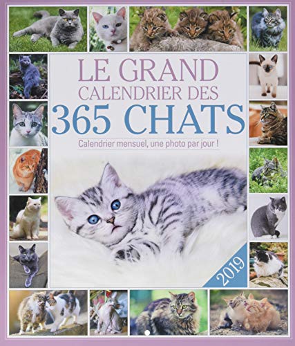 Télécharger Le grand Calendrier des 365 chats 2019 Francais PDF