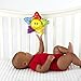 Baby Einstein Caterpillar and Friends Play Gym