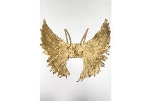 STRUTS Saltburn Felix Style Gold Feather Angel Wings 55cm Fancy Dress