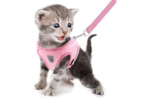 FEimaX Imbracatura e Guinzagli Set per Cani, Pettorina Imbottita a Morbida per Cuccioli e Gatti, Imbracature di Traspiranti Regolabili Riflettenti per Camminare, Corsa, Allenamento