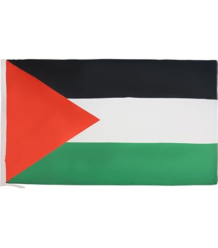Spilla Distintivo Bandiera Palestinese