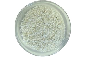 PLANT !T PLANT!T Perlite 10L Bag