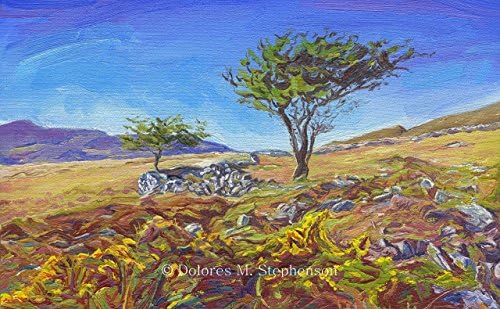 Killarney National Park "Springs Eternal" - 7" X 5" Colour mounted Print