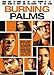 Produktbild Burning Palms / (Ws Ac3 Dol) [DVD] [Region 1] [NTSC] [US Import]