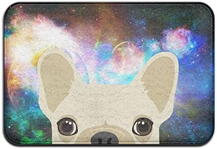 Soft Non-slip Funny French Bulldog Print Bath Mat Coral Rug Door Mat Entrance Rug Floor Mats For Front Outside Doors Entry Carpet 40 X 60 Cm.