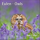  Eulen Owls 2019 - Broschürenkalender - Wandkalender - mit herausnehmbarem Poster - Format 30 x 30 cm