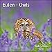 Eulen Owls 2019 - Broschürenkalender - Wandkalender - mit herausnehmbarem Poster - Format 30 x 30 cm by
