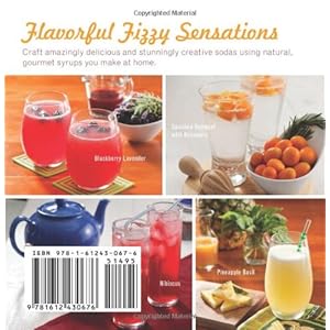The Artisan Soda Workshop: 70 Homemade Recipes from Fountain Classics to Plum Vanilla