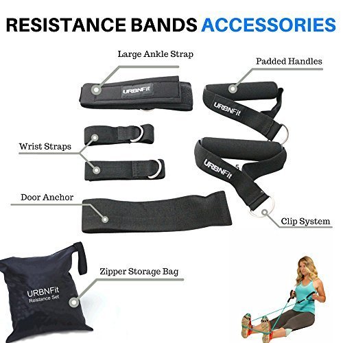 Resistance Bands Set with Door Anchor, Ankle Strap, Exercise Guide, and Carying Case (Pro Series) - 2