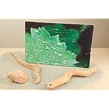 Blatt Wassertropfen Foto auf Holz Holzdruck Photo on Wood