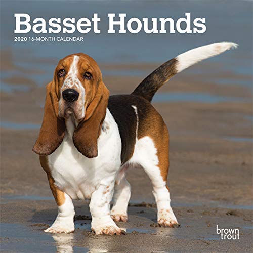 Télécharger Basset Hounds 2020 Calendar PDF