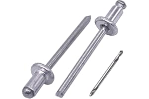 SKIR'CO (100 piezas) Remaches ciegos de aluminio 4.0 x 6 mm, mandril de acero, remaches de pop, cabeza de cúpula, broca incluida